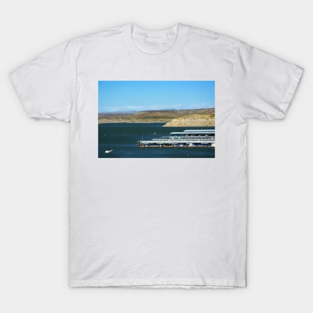 Beat the Heat - Elephant Butte Lake, New Mexico USA T-Shirt by VKPelham